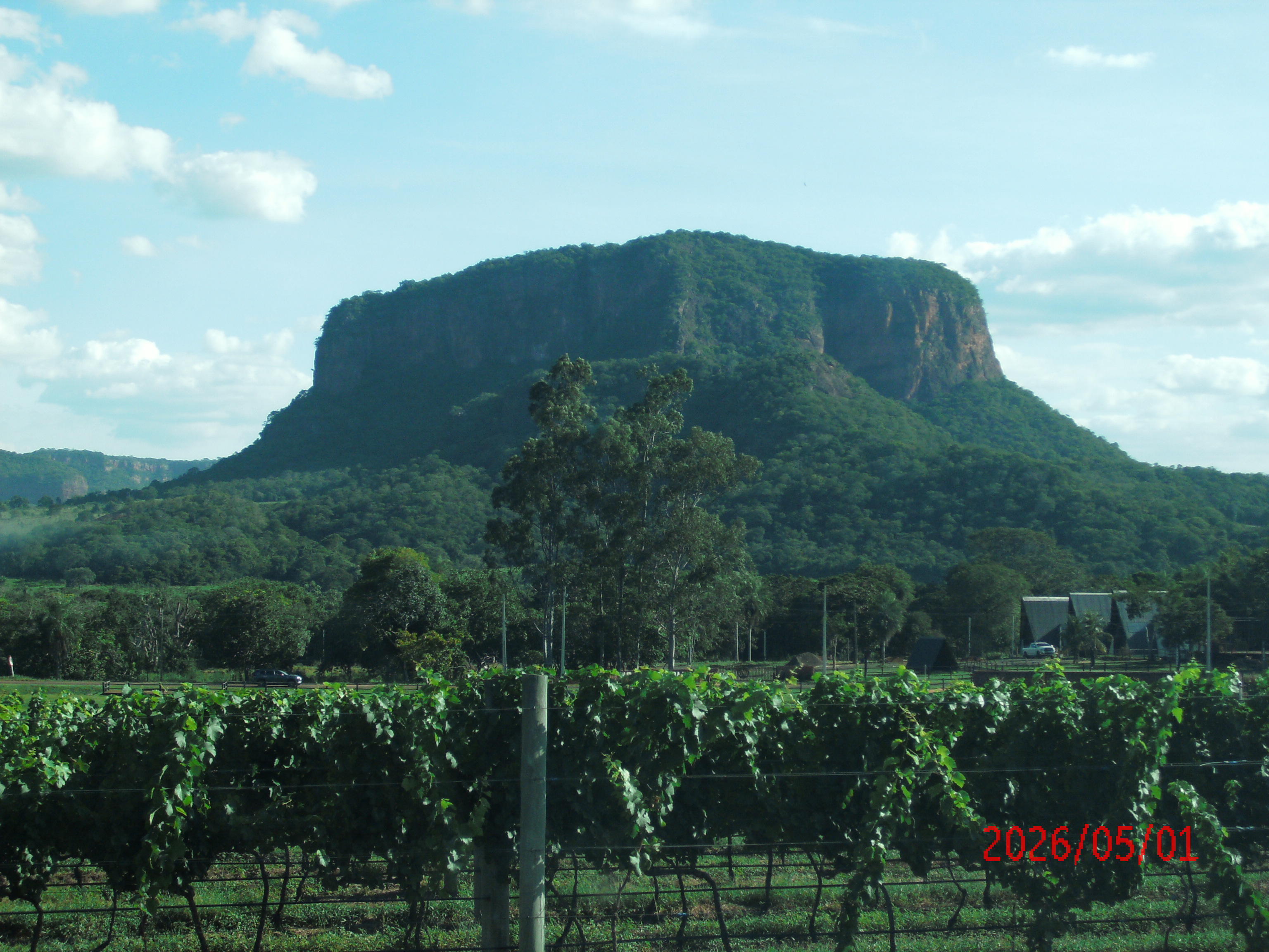image_here