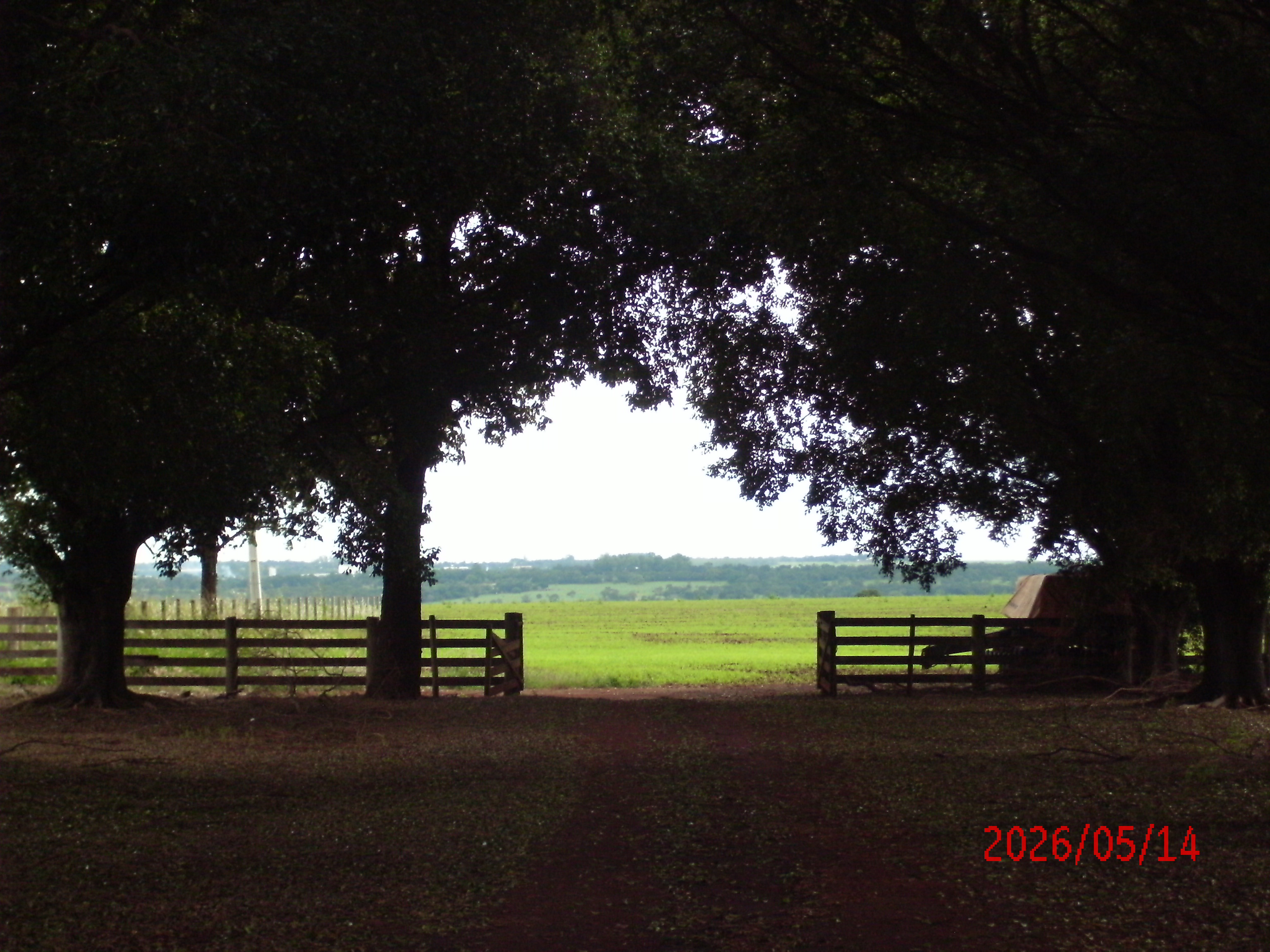 image_here