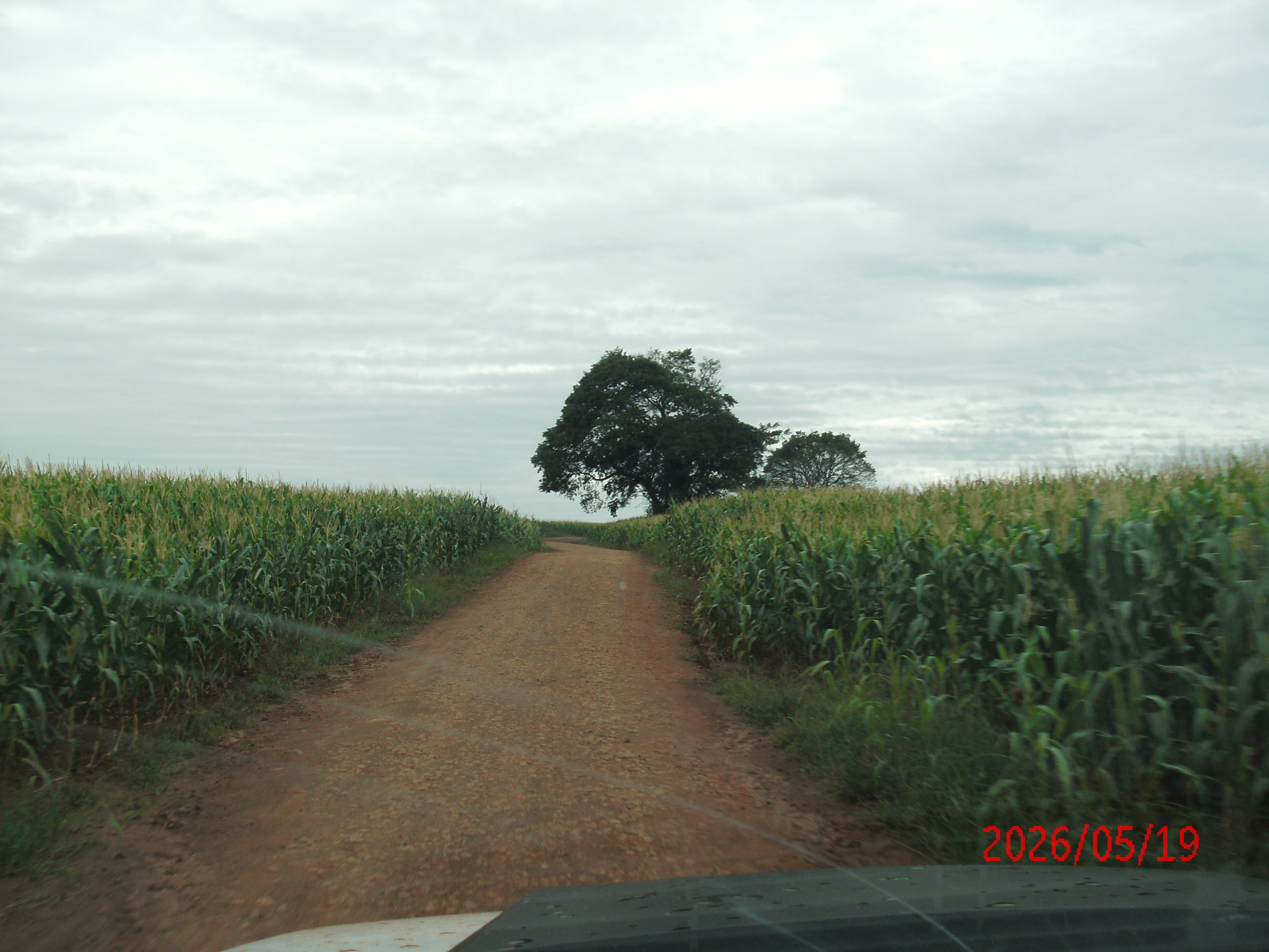 image_here